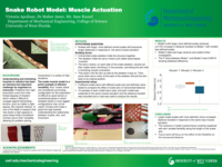 Snake Robot Model: Muscle Actuation