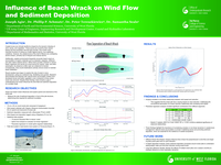Influence of Beach Wrack on Wind Flow and Sediment Deposition