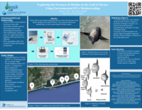 Exploring the Presence of Molidae in the Gulf of Mexico Using Environmental DNA Metabarcoding