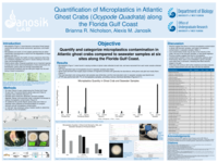 Quantification of Microplastics in Atlantic Ghost Crabs (Ocypode Quadrata) along the Florida Gulf Coast