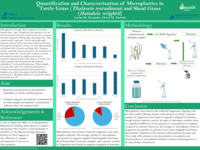 Quantification and Characterization of Microplastics in Turtle Grass (Thalassia testudinum) and Shoal Grass (Halodule wrightii)