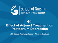 Effect of Adjunct Treatment on Postpartum Depression
