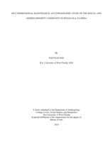 Multidimensional Maintenance: An Ethnographic Study Of The Sexual And Gender Minority Community In Pensacola, Florida
