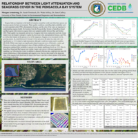 Relationship between light attenuation and seagrass cover in the Pensacola Bay system