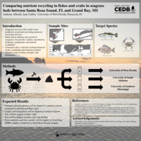 Comparing nutrient recycling in fishes and crabs in seagrass beds between Santa Rosa Sound, FL and Grand Bay, MS