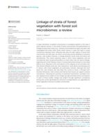 Linkage of strata of forest vegetation with forest soil microbiomes: a review