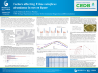 Factors affecting Vibrio vulnificus abundance in oyster liquor