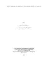 What...No Wood? An Analysis of the Cannon Cluster Site (9CH1552)