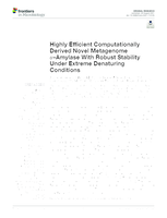 Highly Efficient Computationally Derived Novel Metagenome α-Amylase with Robust Stability under Extreme Denaturing Conditions