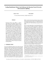Scaling Hamiltonian Monte Carlo Inference for Bayesian Neural Networks with Symmetric Splitting