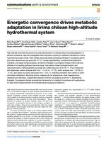 Energetic convergence drives metabolic adaptation in lirima chilean high-altitude hydrothermal system