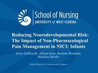 Reducing Neurodevelopmental Risk: The Impact of Non-Pharmacological Pain Management in NICU Infants