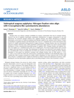 Subtropical seagrass epiphytes: Nitrogen fixation rates align with Crocosphaera‐like cyanobacteria abundances