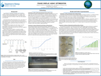 Phage Display Assay Optimization