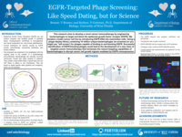 EGFR-Targeted Phage Screening: Like Speed Dating, but for Science