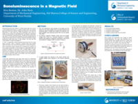 Sonoluminescence in a Magnetic Field