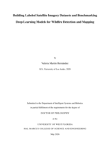 Building Labeled Satellite Imagery Datasets and Benchmarking Deep Learning Models for Wildfire Detection and Mapping