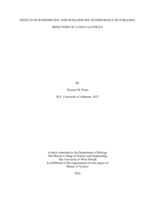 Effects of Interspecific and Intraspecific Interference on Foraging Behaviors of Luidia Clathrata