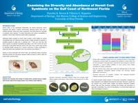 Examining the Diversity and Abundance of Hermit Crab Symbionts on the Gulf Coast of Northwest Florida