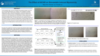 The Effect of AICAR on Simvastatin Induced Myotoxicity