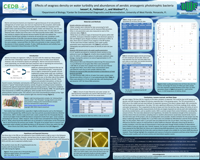 Effects of seagrass density on water turbidity and abundances of aerobic anoxygenic phototrophic bacteria