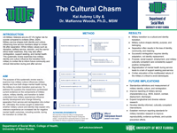 The Cultural Chasm